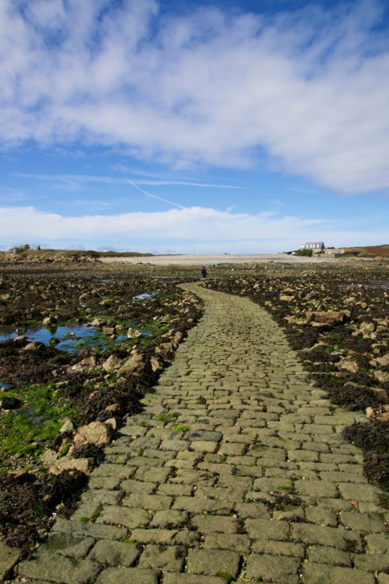 a stone path in the middle of a field