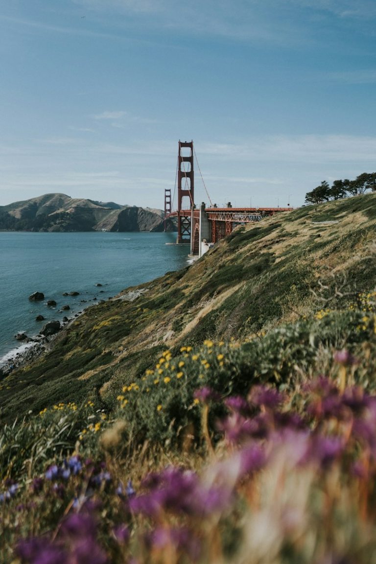 red concrete bridge near body of water