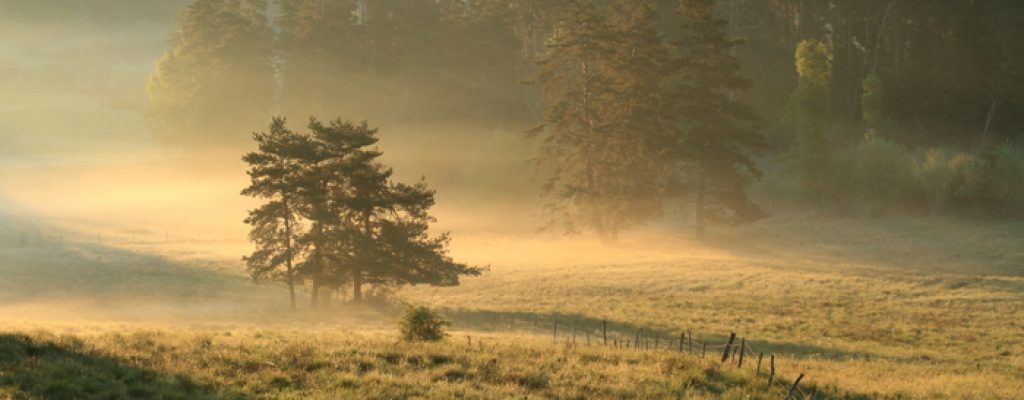 AUVERGNE-RECONNEXION-NATURE2@ALUNA