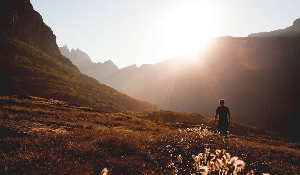 FIKA DMC-nature-690164-@pixabay