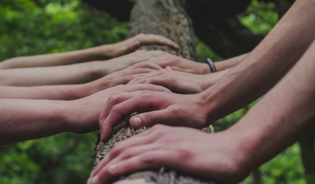 a group of people holding hands on top of a tree@Unsplash